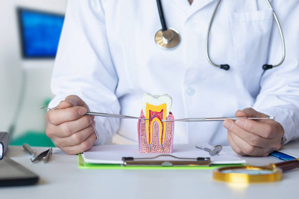 Best Emergency Dental Care for Abscessed Tooth in Fox Crossing, WI